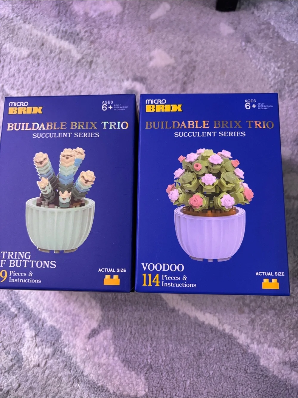 Micro Brix Buildable Brix Trio Succulent - Purple